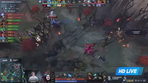 Poster siaran Stray Team VS Team Stariy Bog
